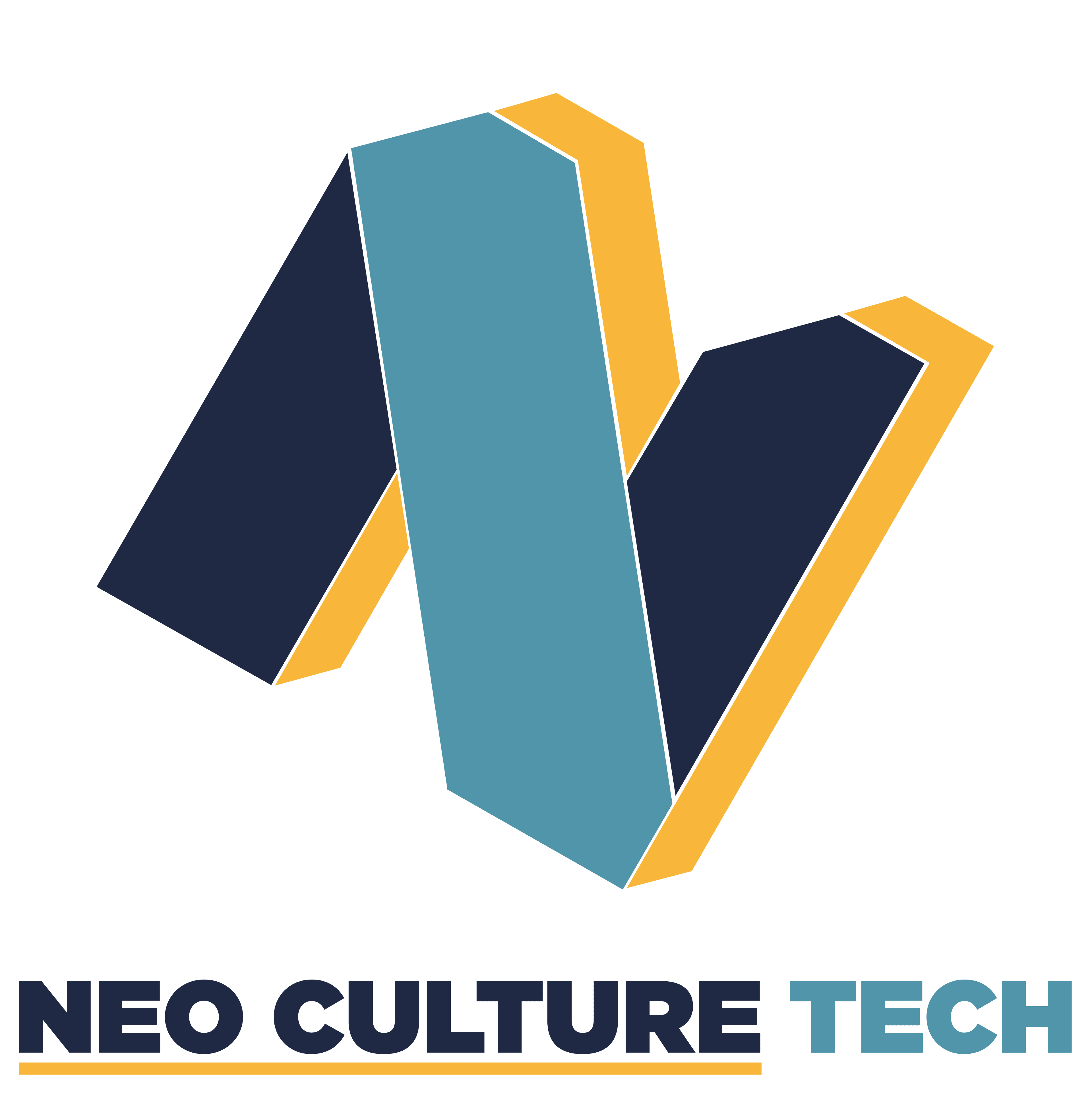 RMIT NEO CULTURE TECH logo